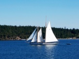 Cool sailboat seen from ferry